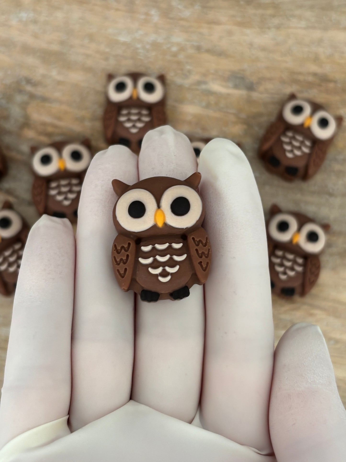 Chocolate Owls | Box of 12 Individually Wrapped 1.1 inch  Chocolate Owls | Owl Cupcake Toppers | Chocolate Owl Gift | Woodland Themed Cake