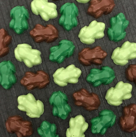 Chocolate Frogs - Wizard Party Favors (Multiple Flavors)